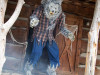 Animated werewolf prop with moving arms jaw and glowing LED eyes for Halloween