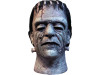 House Of Frankenstein Mask