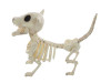 Digger The Skeleton Dog Prop 11"