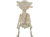 Digger The Skeleton Dog Prop 11"