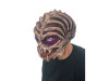 Down To Earth Alien Mask