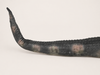 Close-up of alligator crocodile Halloween prop tail showing dark textured finish and painted detail