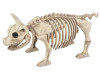 Pig Skeleton