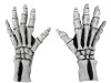 Adult Skeleton Gloves