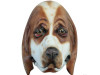 Adult Basset Hound Mask