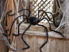 Large Poseable Hairy Black Spider 98.6"