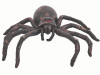 Black Latex Tarantula Spider | 12"
