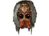 Arachnoid Spider Head Mask 