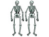 Jointed Skeletons | Set of 12