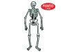 Jointed Skeletons | Set of 12