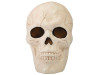 creepy skull head prop for graveyard theme Halloween display
