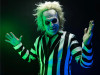 Beetlejuice Costume Mask with Hair - Scary Halloween Disguise
