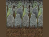 Graveyard Backdrop - 1 pc