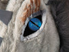 Adults Gray Dragon Moving Mouth Overhead Mask