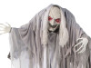 close-up of wrinkled skull face and long gray hair