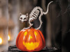 Animated Halloween pumpkin with skeleton cat on top