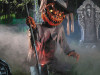 Animated Pumpkin Scarecrow - 3 Ft. - Pop-Up Light-Up Halloween Prop Animated Pumpkin Scarecrow - 3 Ft. - Pop-Up Light-Up Halloween Prop