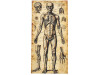 Human Anatomy Door Curtain - 6 Ft. 6 In - Halloween Decoration