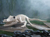 Crocodile Skeleton - 13 1/2 In - Plastic Halloween Decoration