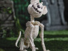 Pumpkin-Head Dog Skeleton - 24 1/4 In - Sitting Halloween Prop