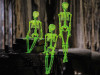 Set of 3 glow-in-the-dark hanging skeletons 16 inch Halloween props