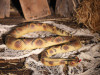 47 inch colorful plastic snake Halloween decoration prop