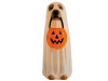 jack-o’-lantern trick-or-treat bucket held by ghost costume dog prop