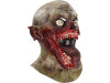 Tongue Slasher Mask