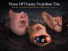 House Of Hauntz Freakshow Trio – Tinsley Half Mask Collection
