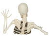 tabletop skeleton halloween party decor prop