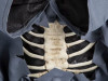 halloween graveyard skeleton rising decoration