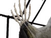 scary hanging skeleton halloween decor