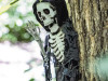 hanging skeleton reaper wall decoration