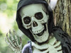 creepy skeleton wall hanging decor