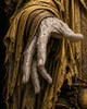 Royal eldritch artwork for Halloween decorating, dark academia offices, and horror displays