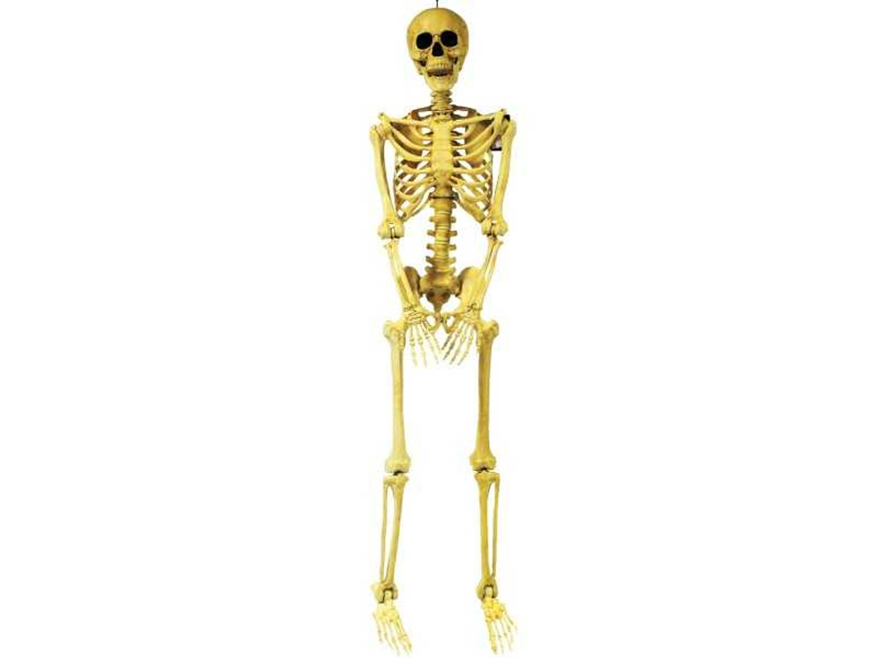 Skeleton Pose And Hold