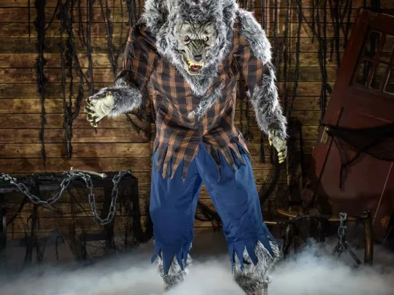 Life size hulking werewolf Halloween decoration with realistic fur and claws