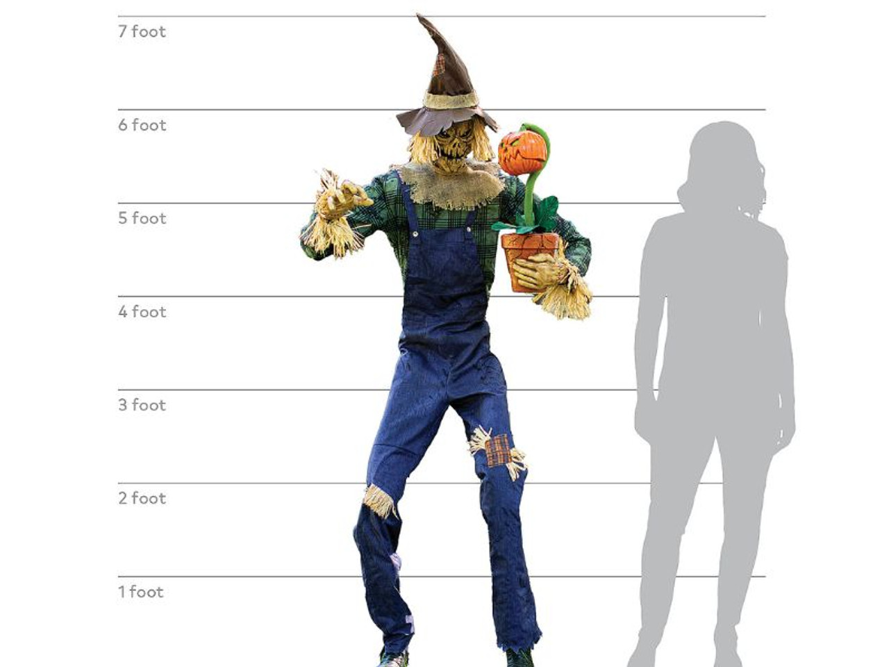 This 7-foot Rotten Harvester Animated Prop shows off his “hungry” Potted Pumpkin plant! You can look but don’t touch! This Rotten Harvester just might feed you to his little pet! The Scarecrow's Eyes Light Up, Jaw Moves while He Speaks several scary phrases, and his Torso moves side to side. 