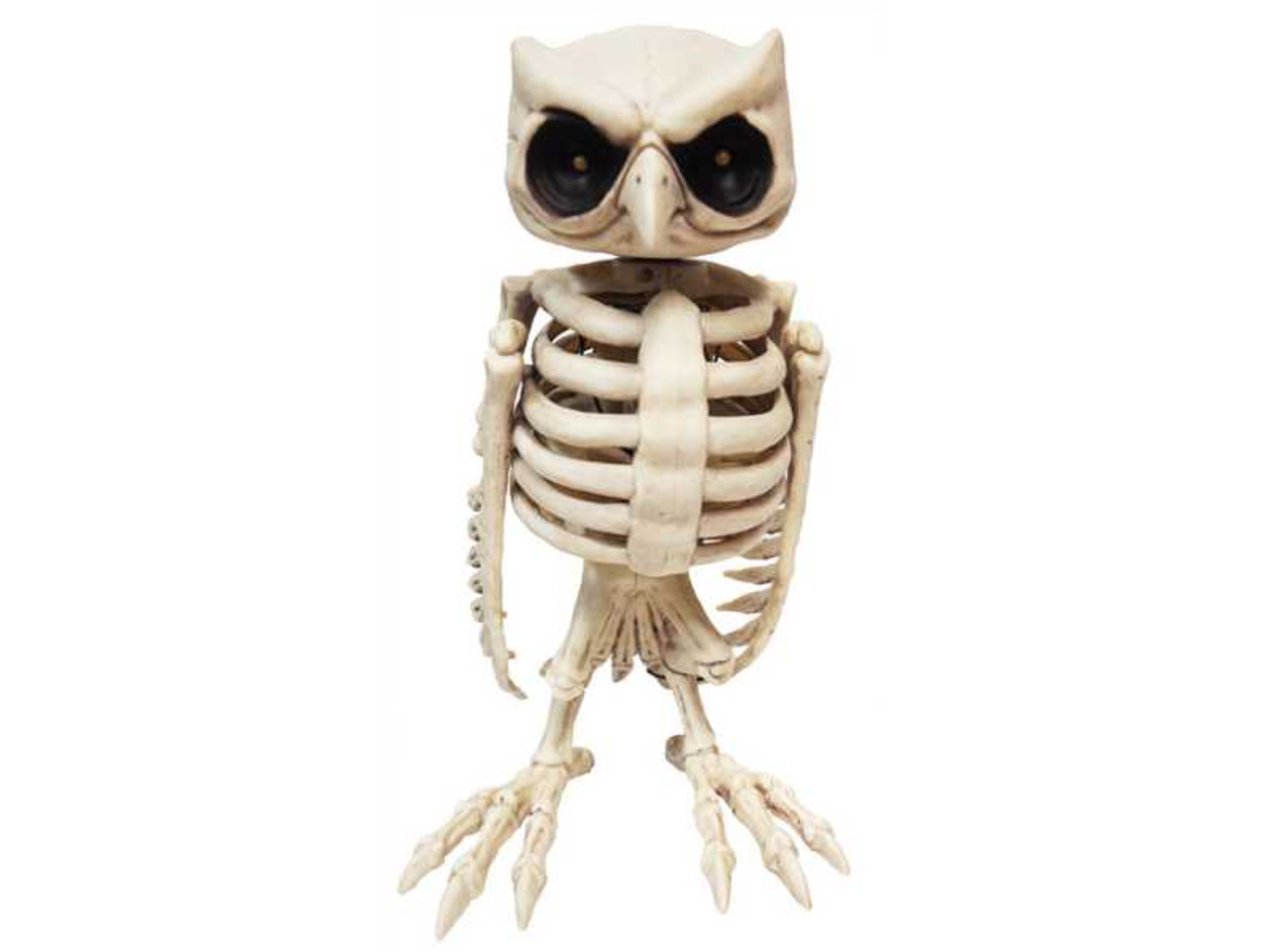 Owl Skeleton Animated