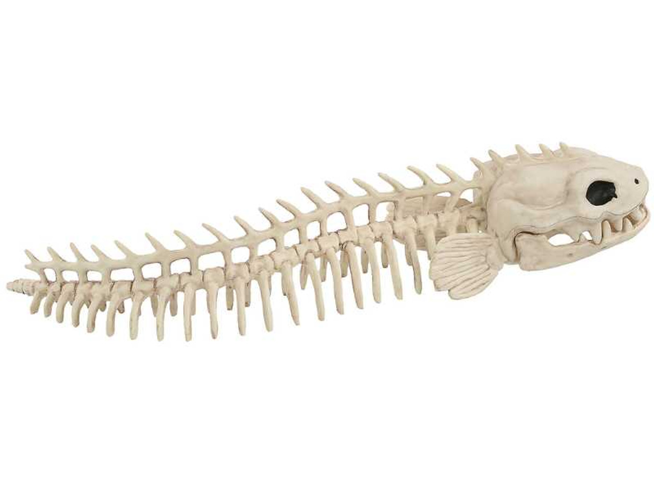 Skeleton Eel Prop
