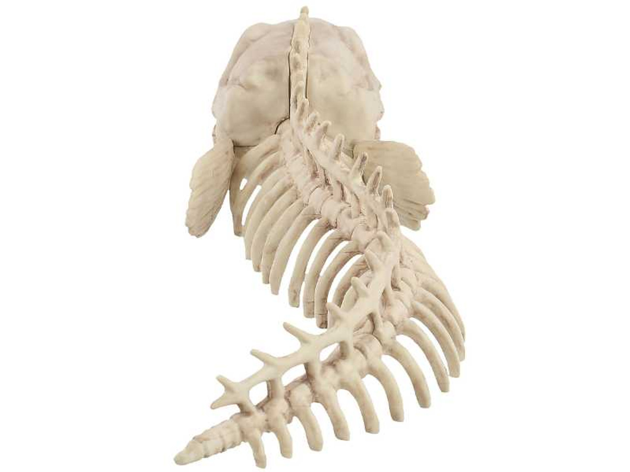 Skeleton Eel Prop