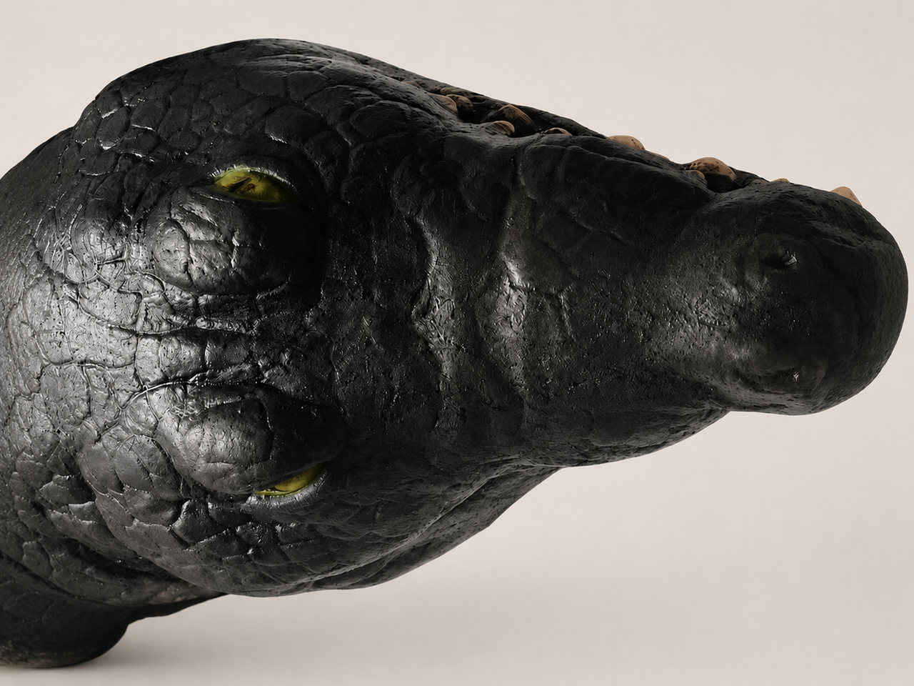 Top view of realistic alligator crocodile Halloween decoration head with green eyes