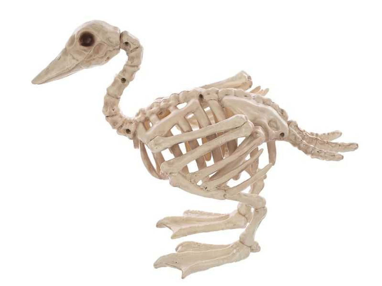 Skeleton Baby Duck Prop