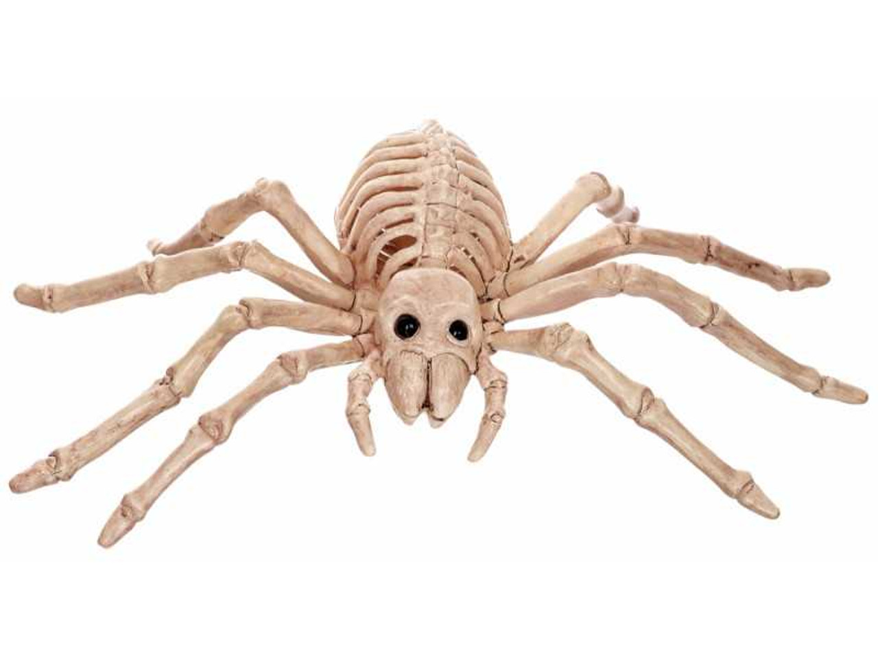 Mini Skeleton Spider