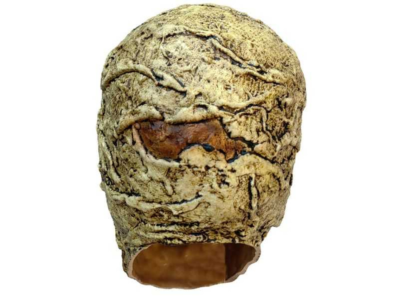 Egyptian Mummy Skull