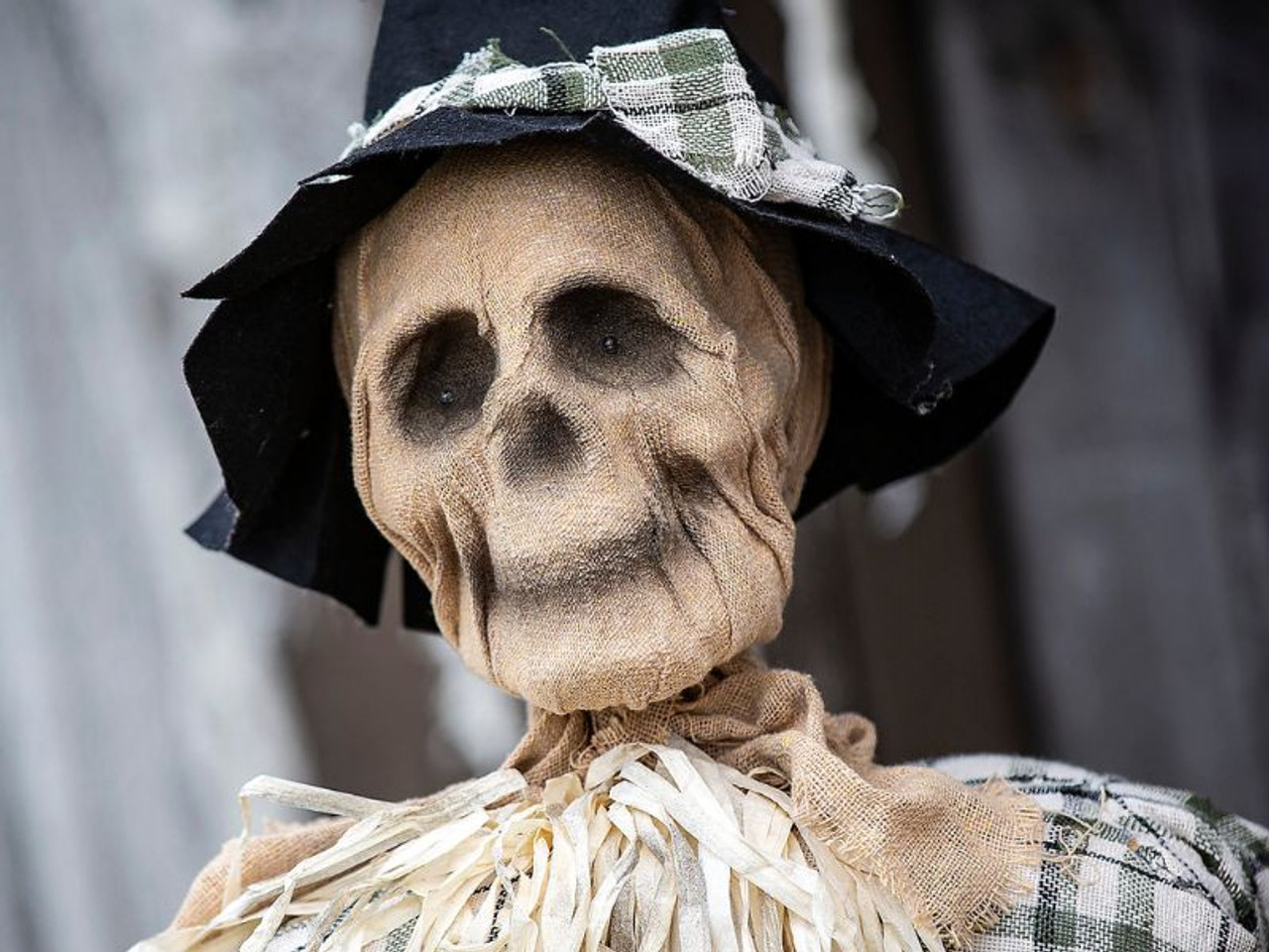 Animated Scarecrow on Rocking Chair