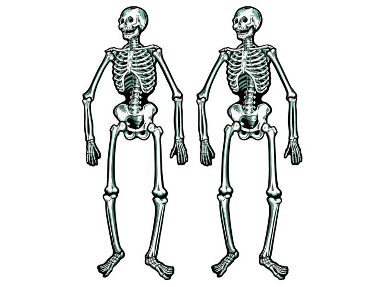 Jointed Skeletons | Set of 12