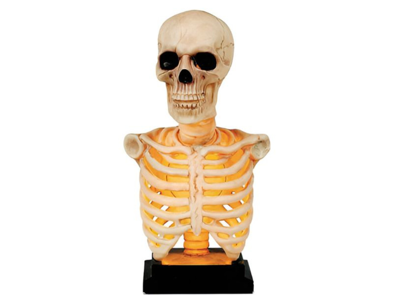 Light-Up Skeleton Bust – 16" Halloween Display Decor