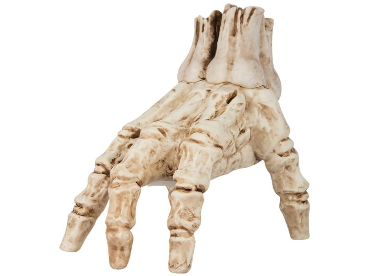 Animated Crawling Skeleton Hand