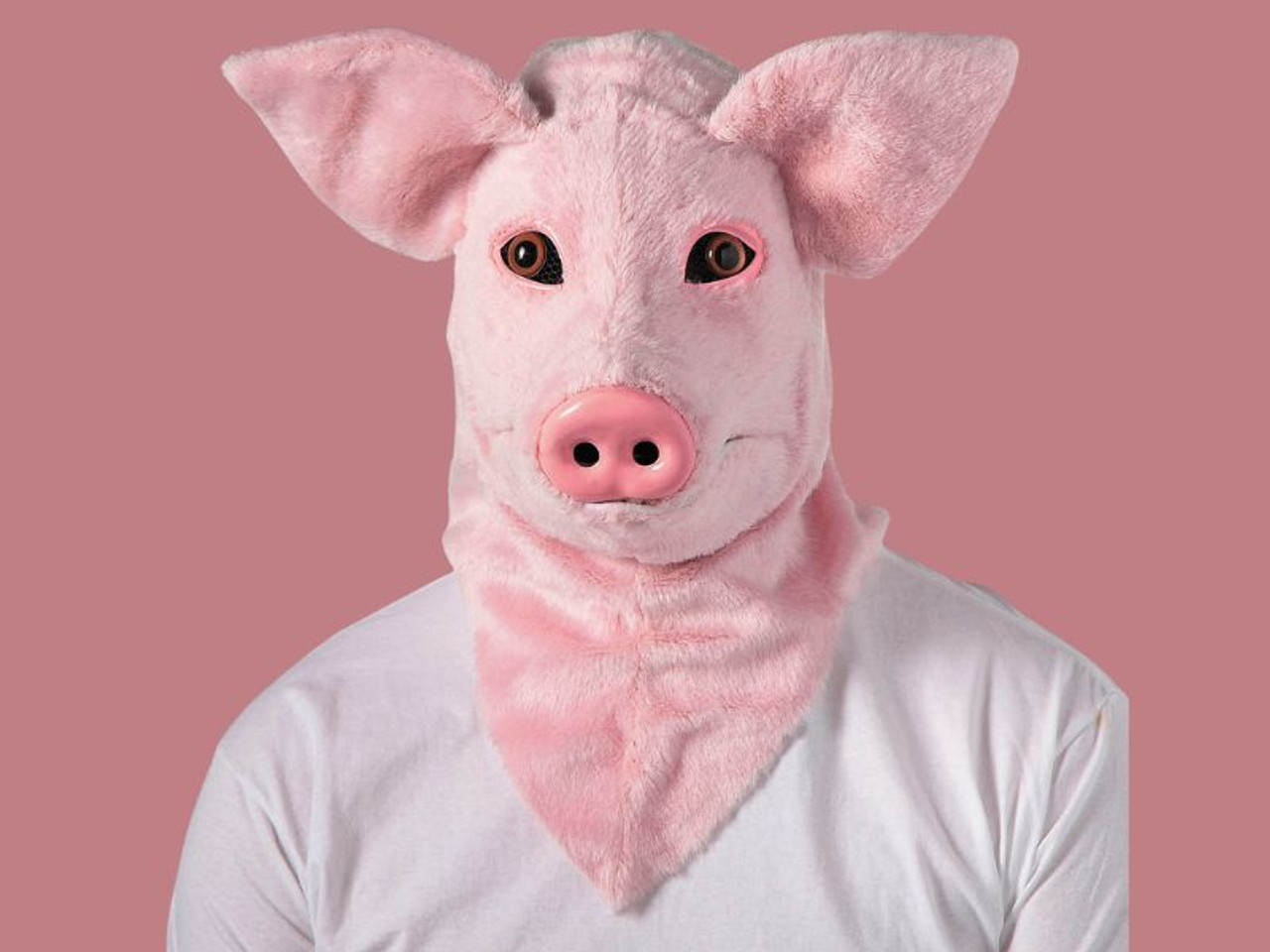 Adults Pig Moving Mouth Overhead Mask
